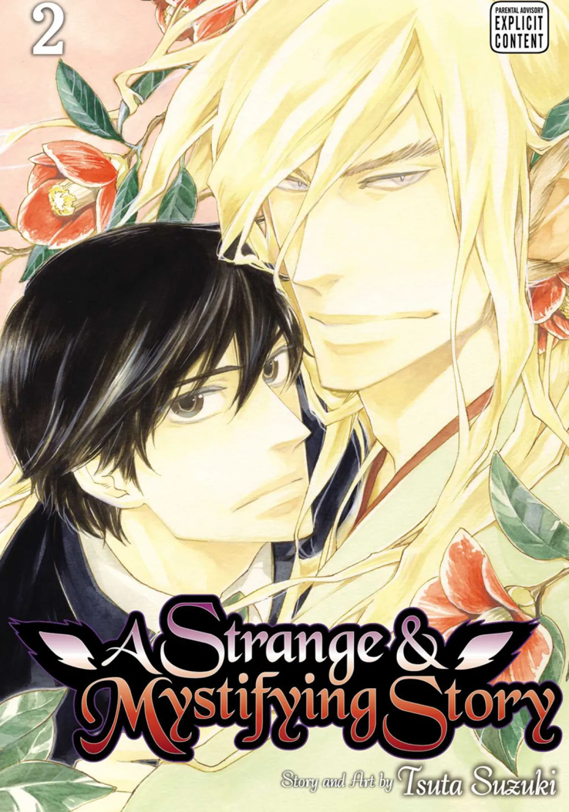 A Strange and Mystifying Story Manga Volume 2