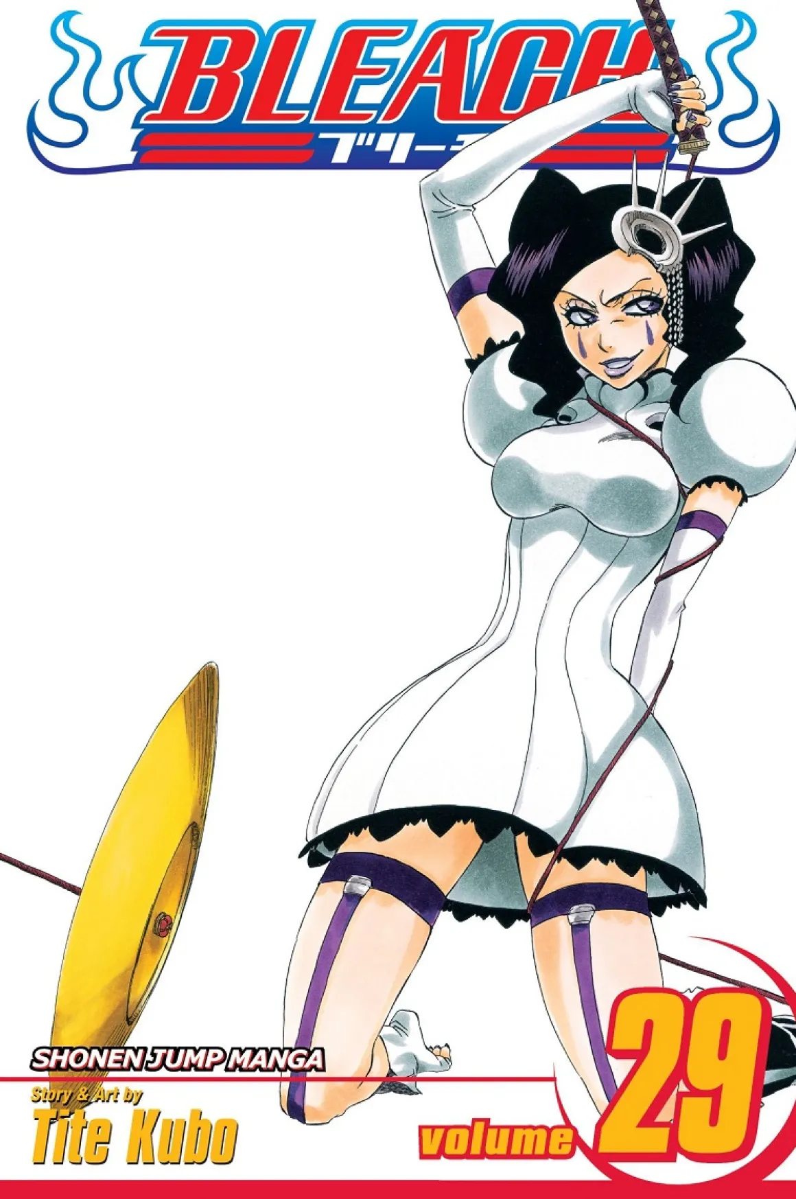 BLEACH Manga Volume 29