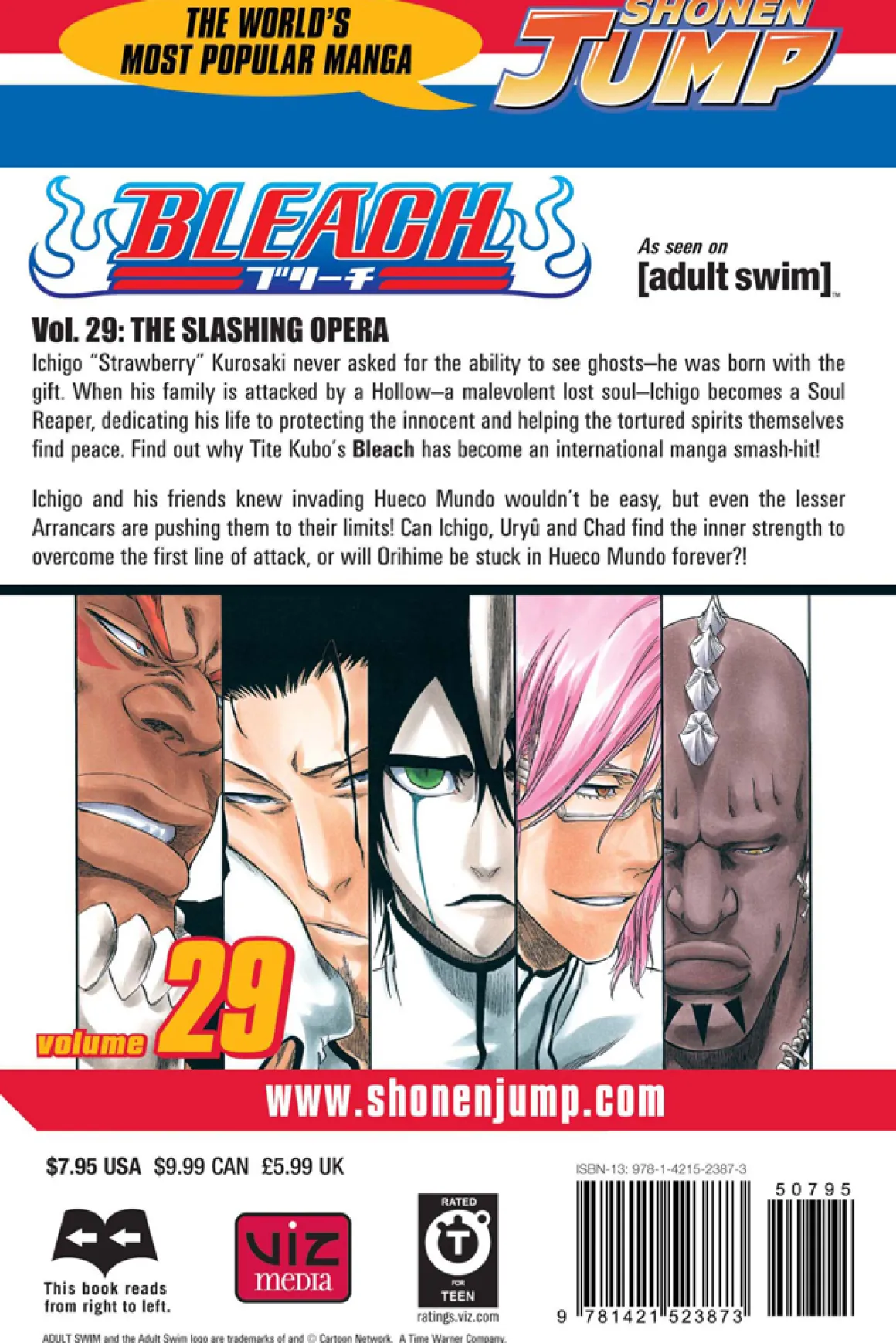 BLEACH Manga Volume 29