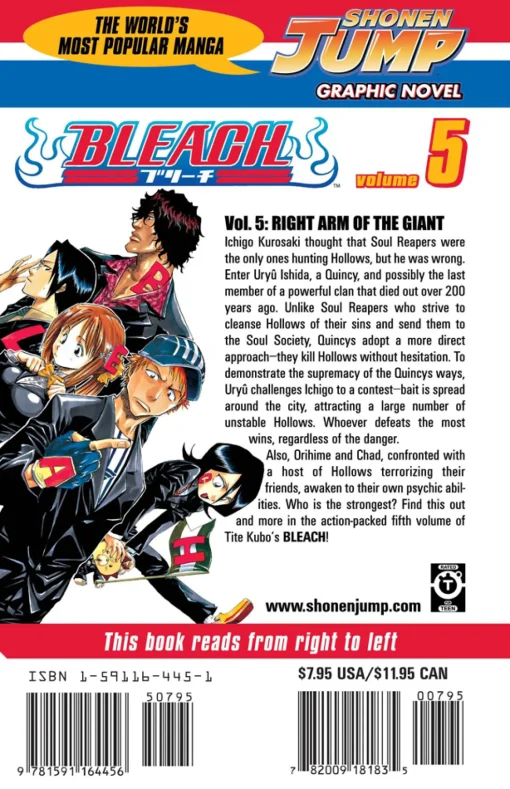 BLEACH Manga Volume 5