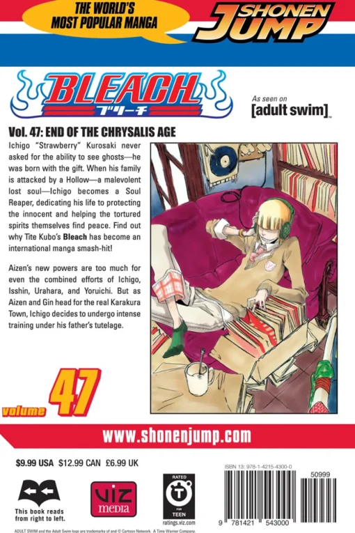BLEACH Manga Volume 47