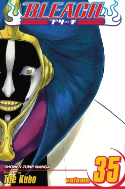BLEACH Manga Volume 35