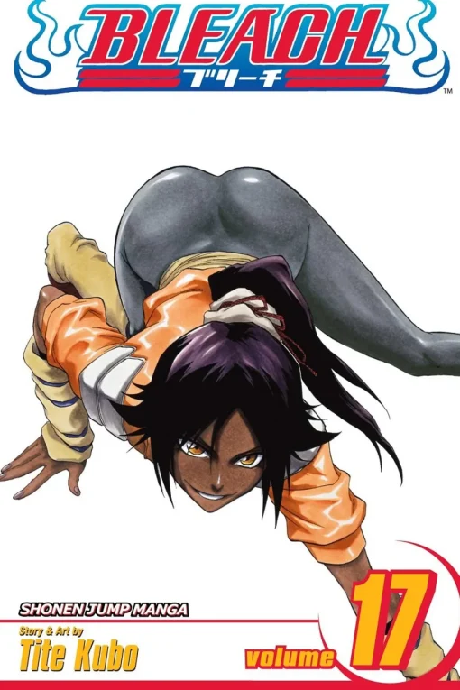 BLEACH Manga Volume 17