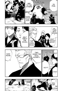 BLEACH Manga Volume 21