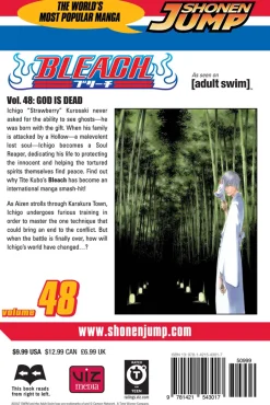 BLEACH Manga Volume 48