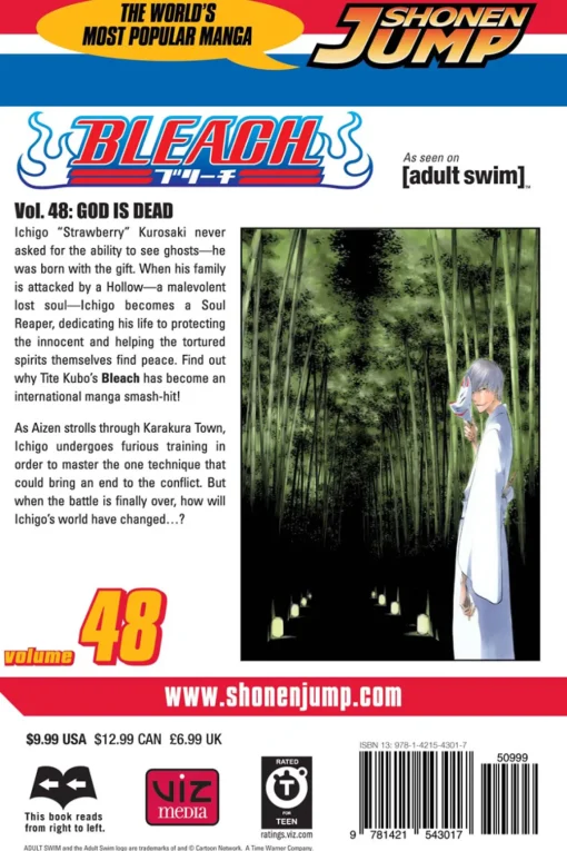 BLEACH Manga Volume 48