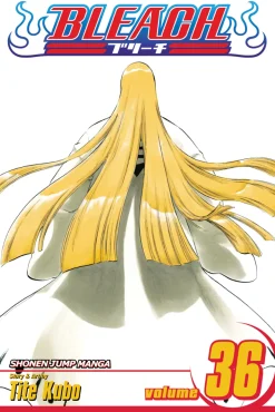 BLEACH Manga Volume 36