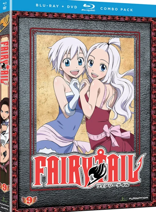 Fairy Tail - Part 9 - Blu-ray + DVD