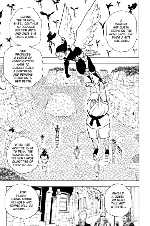 Hunter X Hunter Manga Volume 19