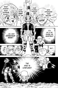 Hunter X Hunter Manga Volume 29