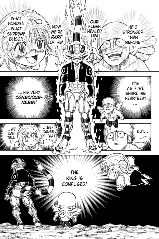 Hunter X Hunter Manga Volume 29
