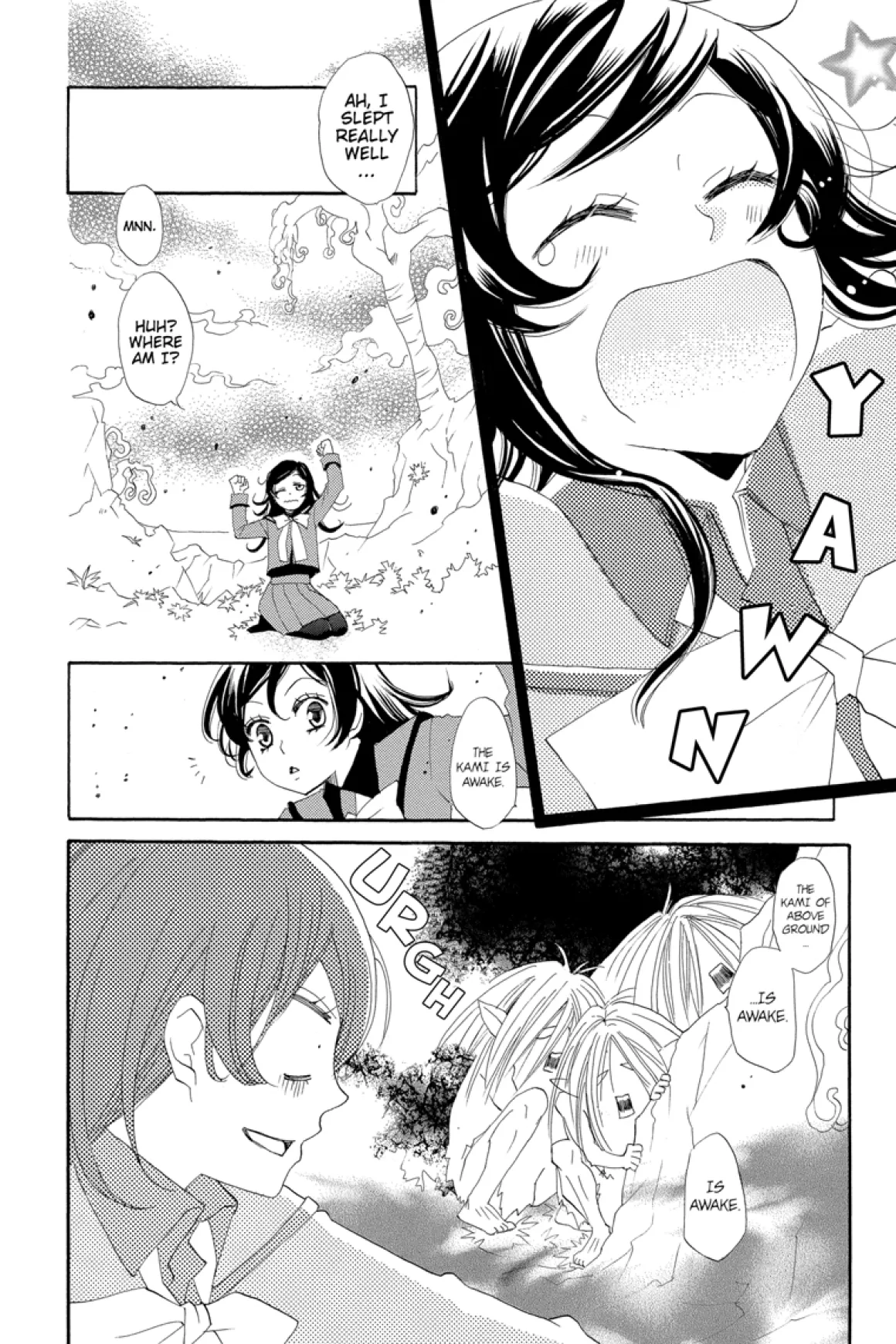 Kamisama Kiss Manga Volume 8