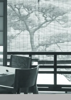 Kyoto Machiya Restaurant Guide: Affordable Dining in Townhouse Spaces