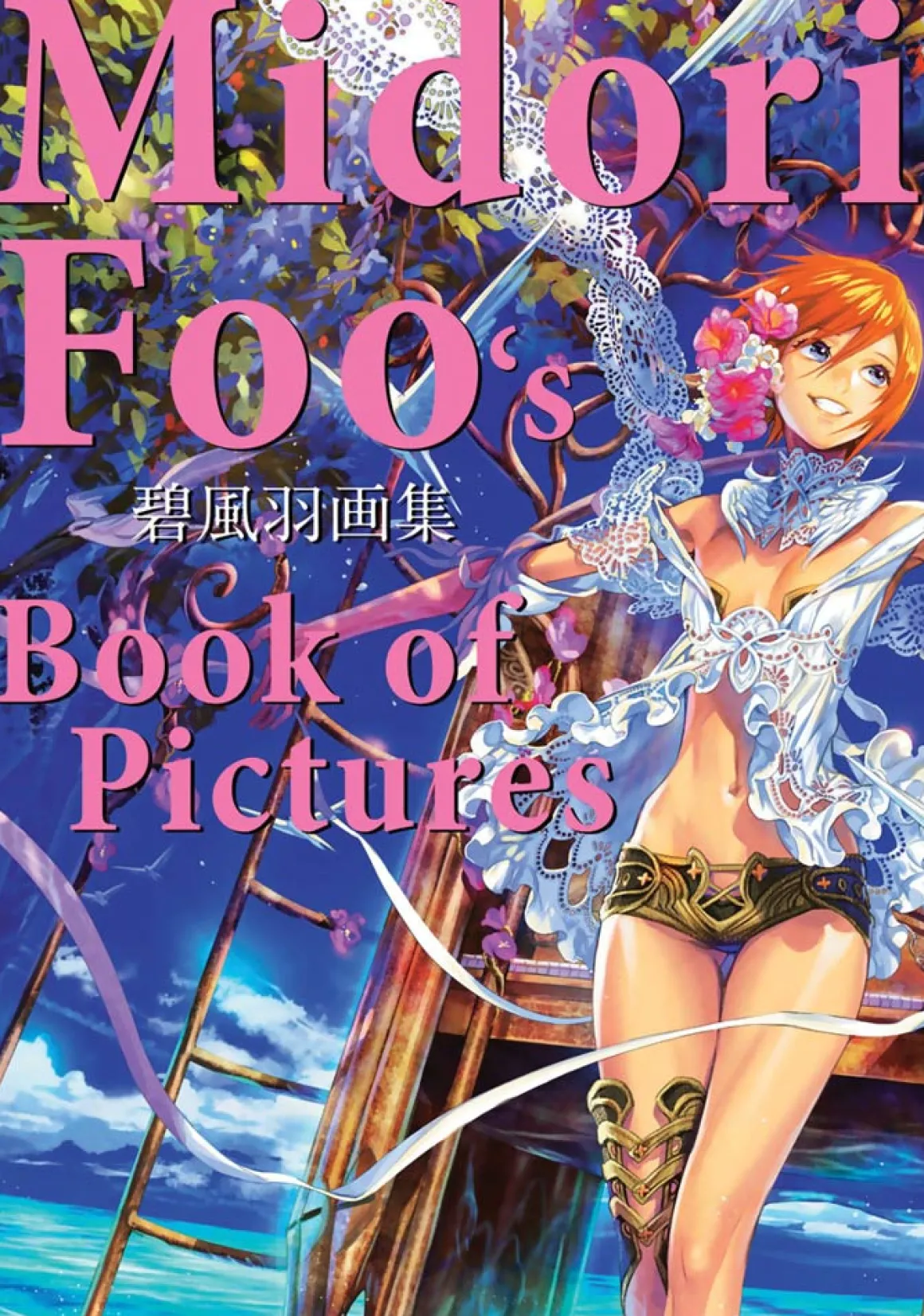 Midori Foo's Book of Pictures Art Book