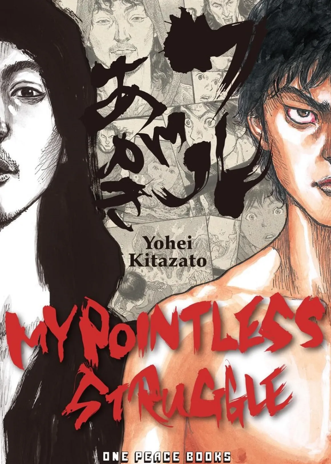 My Pointless Struggle