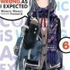 My Youth Romantic Comedy Is Wrong, As I Expected Novel Volume 6