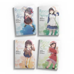 Rascal Does Not Dream of… Novel (10-13) Bundle