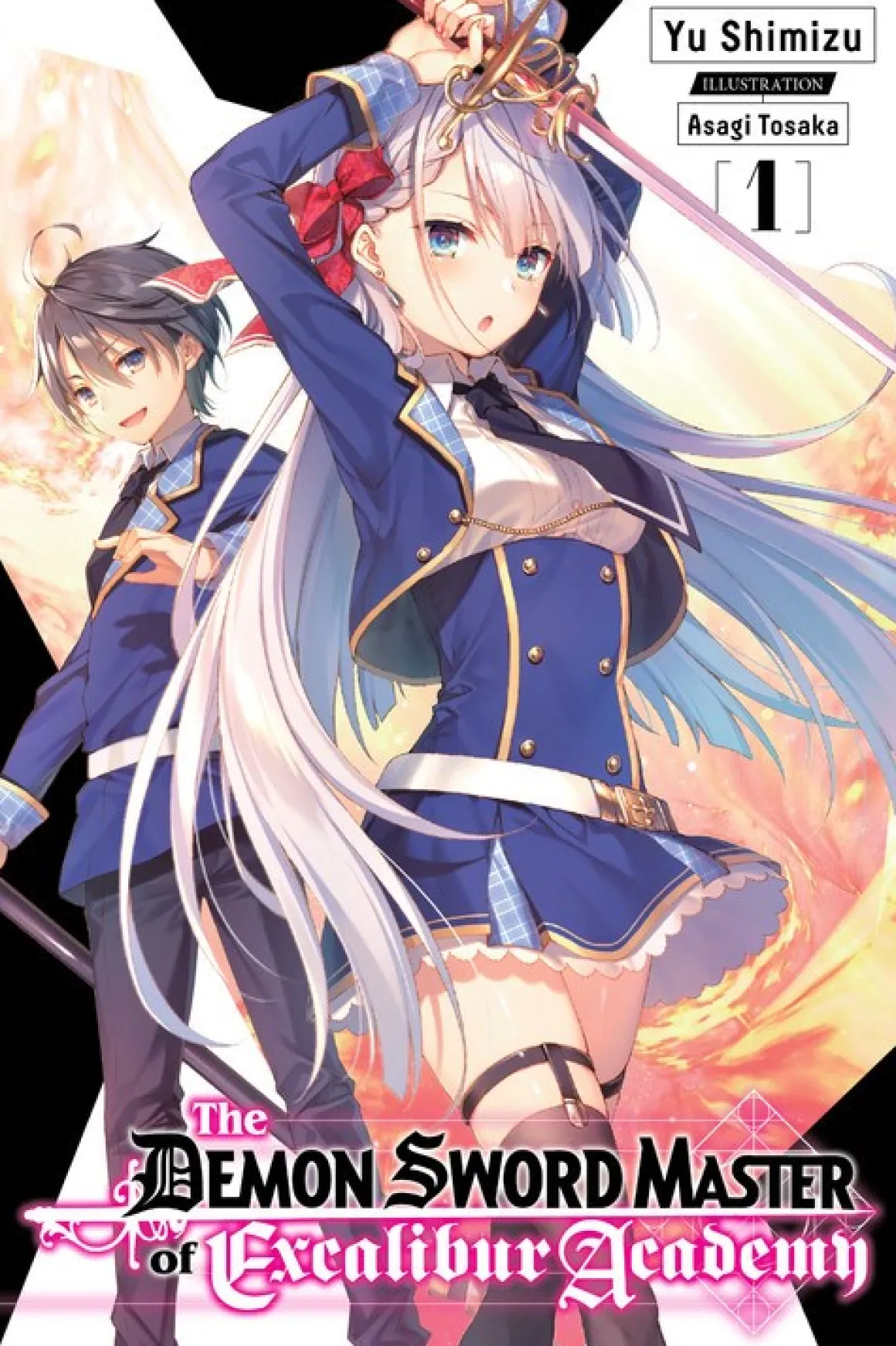 The Demon Sword Master of Excalibur Academy Novel Volume 1